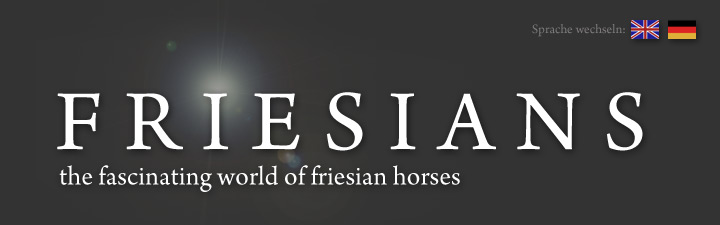 Friesians